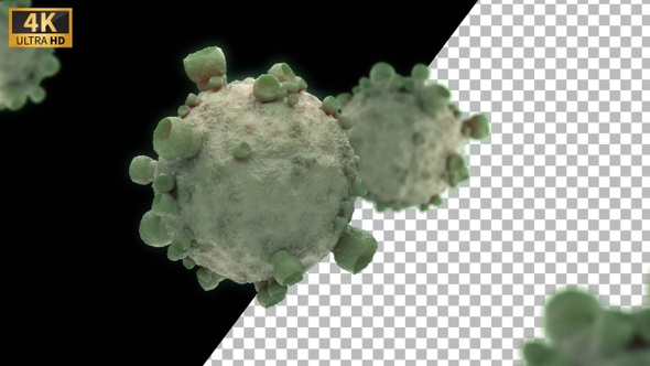 Virus 3d Motion