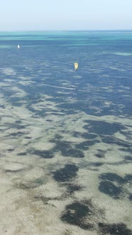 Vertical Video of the Ocean Near the Coast of Zanzibar Tanzania