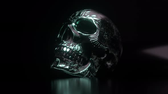 Human Skull with Metal Accents Closeup