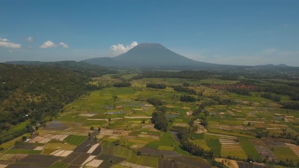 Mountain Landscape Farmlands and Village Bali Indonesia