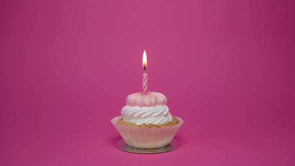 Birthday Cupcake with Candles and Birthday Decorations on Pink Background