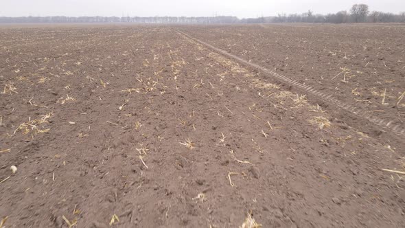 Land in a Plowed Field in Autumn