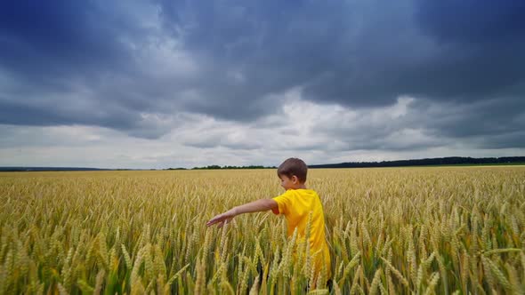 Little boy among agricultural land