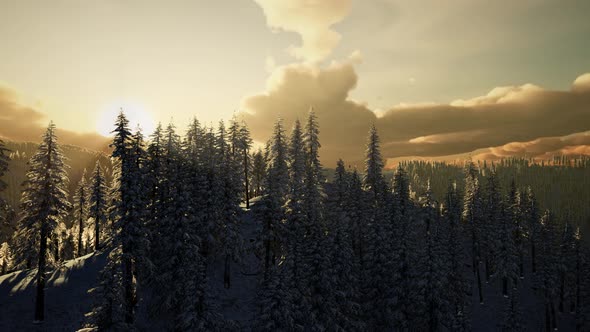 Winter Landscape on a Sunset