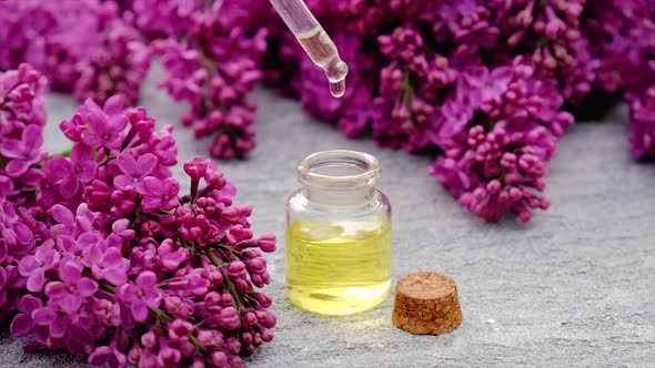 Lilac Essential Oil and Extract in a Small Bottle