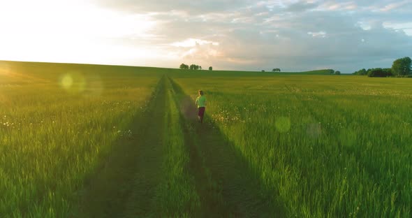 Sporty Child Runs Through a Green Wheat Field. Evening Sport Training Exercises at Rural Meadow. A