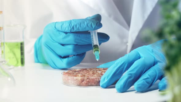 Medical Scientist Inspecting Minced Meat Wearing Protective Unform Working in Laboratory