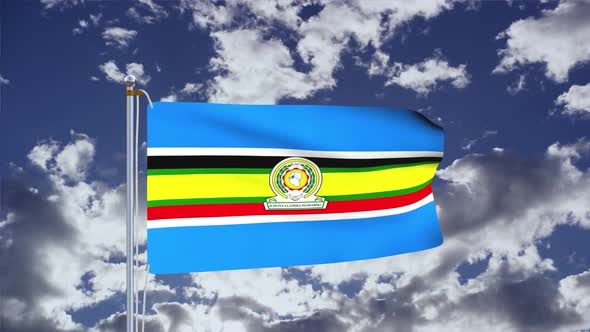 East African Community Flag Waving 4k