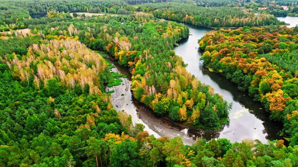 Forest and curvy river, early autumn in Poland, aerial view