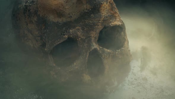 Skull Submerged In Swamp With Toxic Gas Swirling Around