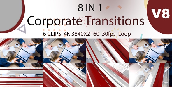 Corporate Transitions V8