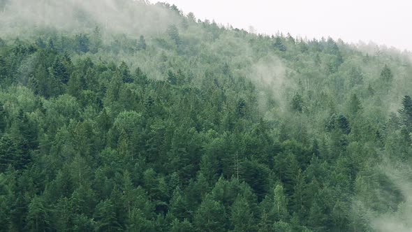 Steam Over Mountains After a Rain