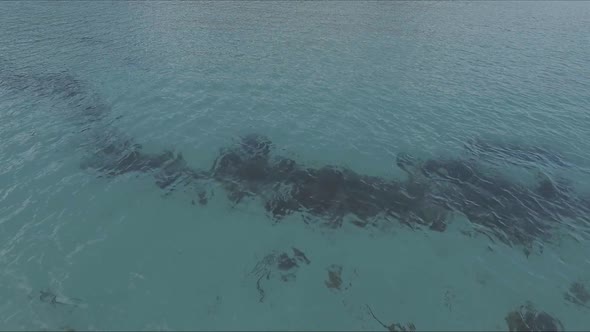 Flying Over the Blue Sea Surface in the Azure Lagoon