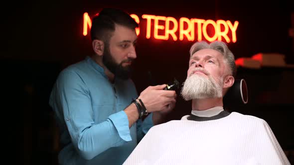 A bearded barber makes a stylish beard cut to a gray-haired respectable man