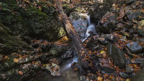 Forest Creek with Leaves in Autumn