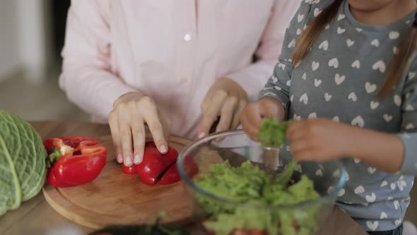 Cute Little Girl and Her Mom are Cutting Pepper and Smiling While Cooking in Kitchen at Home