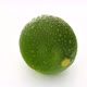 Lime With Water Drops - VideoHive Item for Sale