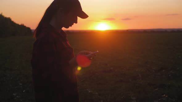 Pretty Young Woman with Tablet Computer Working in Field at Sunset. The Girl Uses a Tablet, Plans To