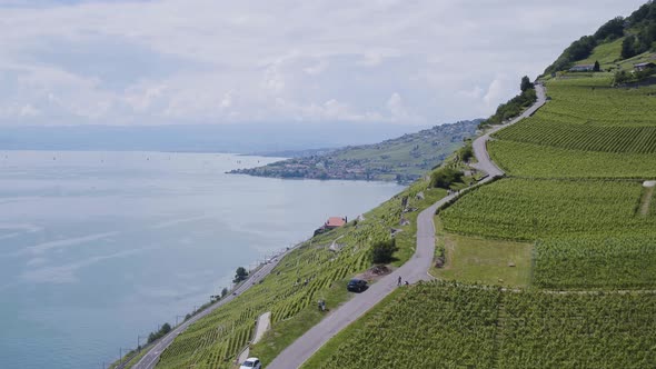 Aerial shot of the Lavaux vineyard in Switzerland (UNESCO World Heritage Site)Shot on Inspire2 dron
