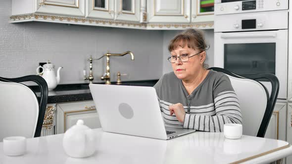 Elderly Grayhaired Woman in Glasses Enjoying Online Shopping Looking at Screen of Laptop