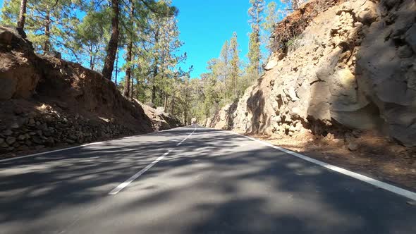 Highway through forest landscape, Tenerife, Spain