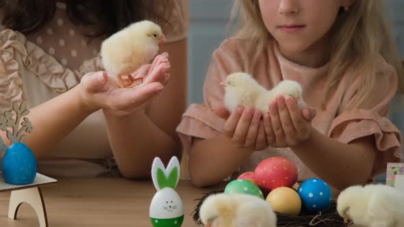 Closeup of Girl with Mom Holding Chicks in Hands