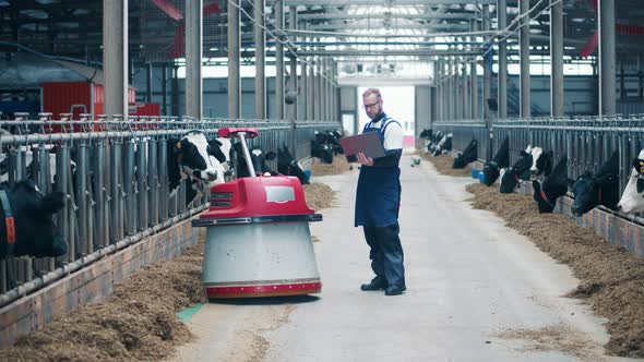 Livestock Farmer is Observing a Robot Working in the Farm