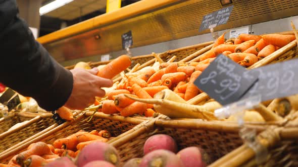 Hand of Man Selecting Fresh Carrot in Grocery Store or Vegetable Shop