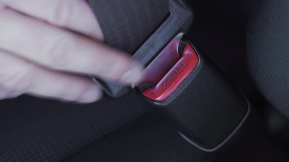 The Process of Clipping the Seat Belt in the Car Close Up