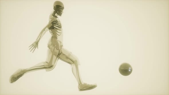 Soccer Player with Visible Bones Medical Scan alt