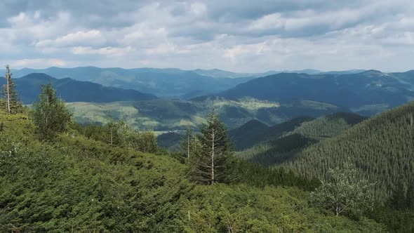 Landscape View of Green Hills in the Valley of Mountains with Coniferous Forests