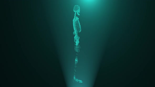 Digital Human Skeleton Hud Hologram alt