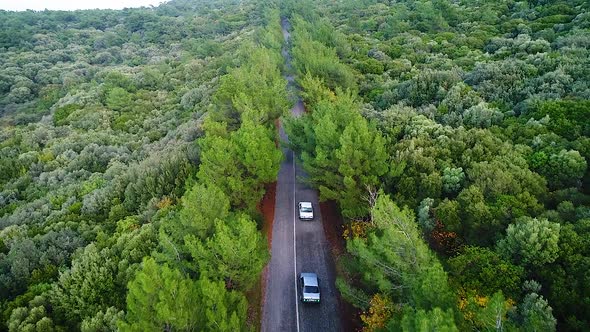 Car chase video from the top