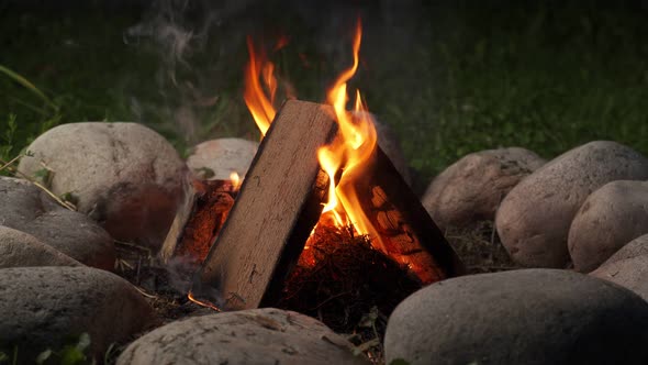 Burning Campfire on a Dark Night in a Forest