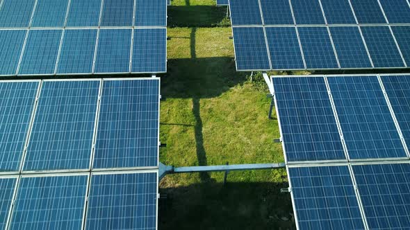 Aerial View of Solar Panels Farm (Solar Cell) with Sunlight alt