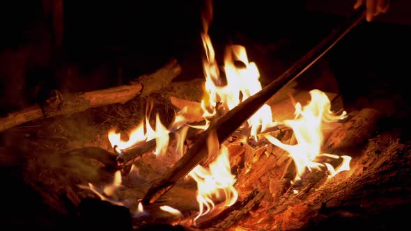 Male in Forest Throws Sticks Branches Firewood in a Burning Night Bonfire