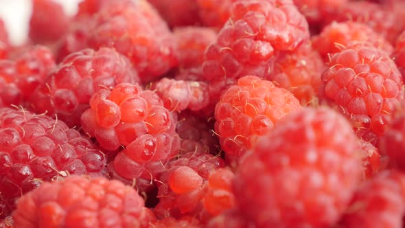 Red European raspberry healthy fruit pile slow tilt  2160p 30fps UltraHD footage - Rubus idaeus  nat