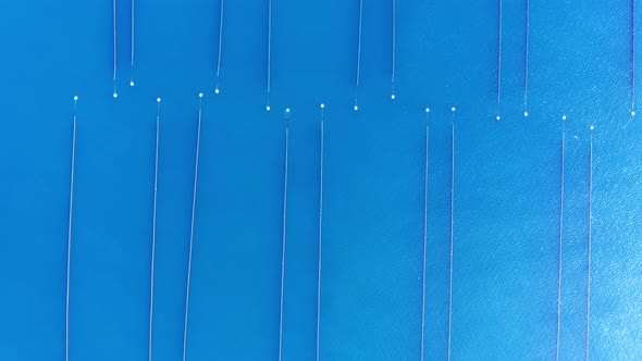 Aerial view of a mussel farms in the sea