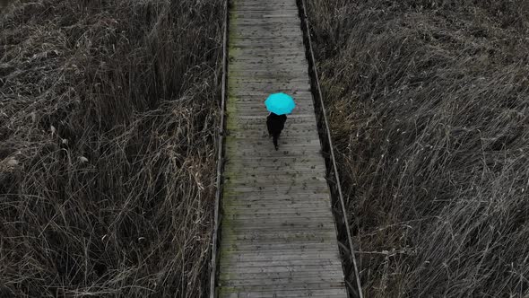 Drone View of a Female with a Blue Umbrella Walking on a Wooden Bridge in a Cold Weather