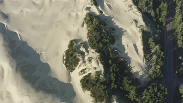 Drone aerial of large sandy dunes with lush green forest.