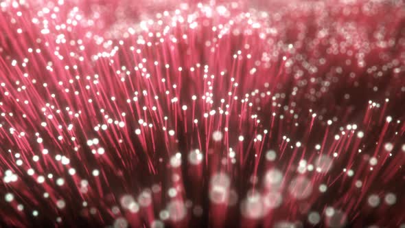 Millions of Fiber Optic Cables with Light Movement