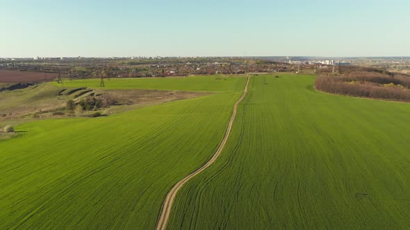 Aerial View Flying Over Green Agricultural Fields