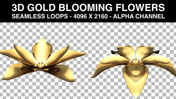 Golden Blooming Flower with Alpha Channel