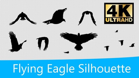 Flying Eagle Silhouette