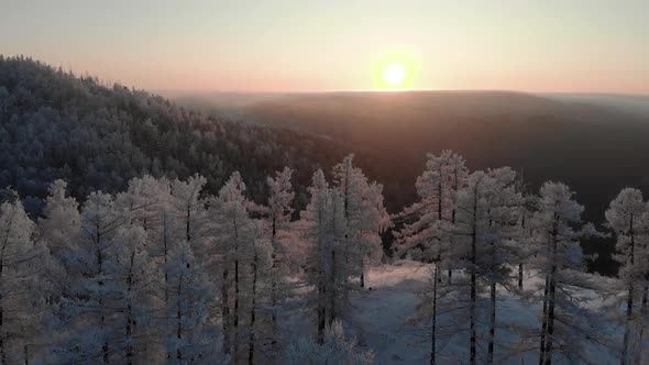 Aerial View in a Mountain Forest