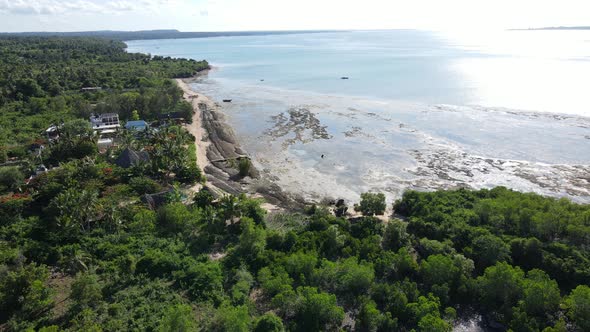 Shore of Zanzibar Island Tanzania at Low Tide Slow Motion