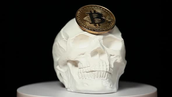 footage of skull coin dark background