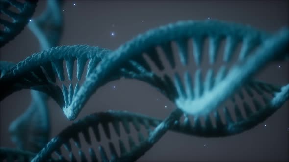 Double Helical Structure of Dna Strand Close-up Animation alt