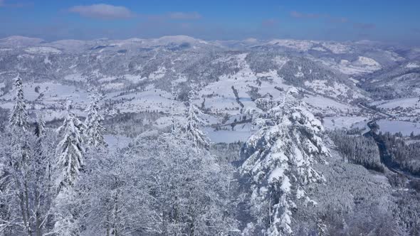 Flight Over a Fabulous Snowcovered Forest on the Slopes of the Mountains