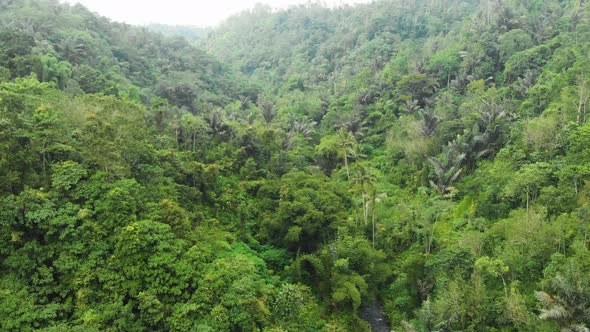 waterfall in green rainforest. Aerial view triple tropical waterfall 